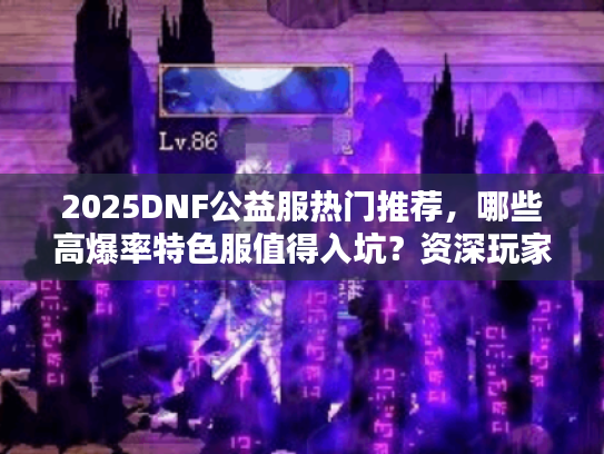2025DNF公益服热门推荐，哪些高爆率特色服值得入坑？资深玩家私藏清单揭秘！