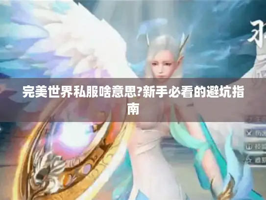 完美世界私服啥意思?新手必看的避坑指南 完美世界私服啥意思?新手必看的避坑指南