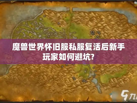 魔兽世界怀旧服私服复活后新手玩家如何避坑?