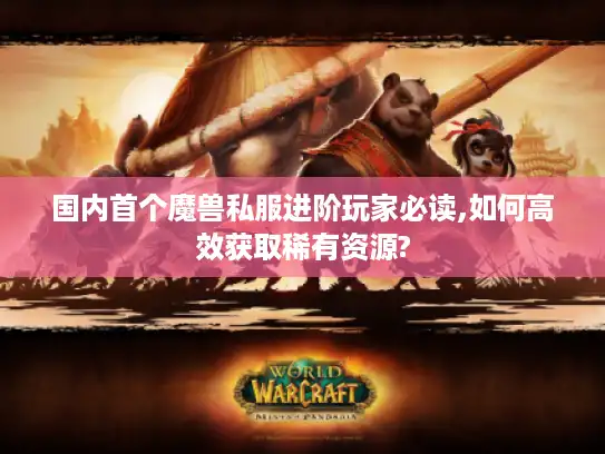 国内首个魔兽私服进阶玩家必读,如何高效获取稀有资源?