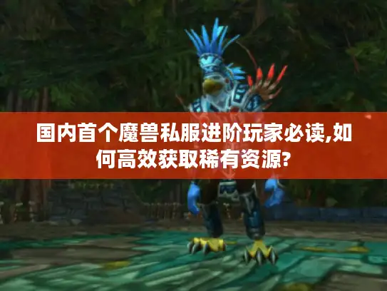 国内首个魔兽私服进阶玩家必读,如何高效获取稀有资源?