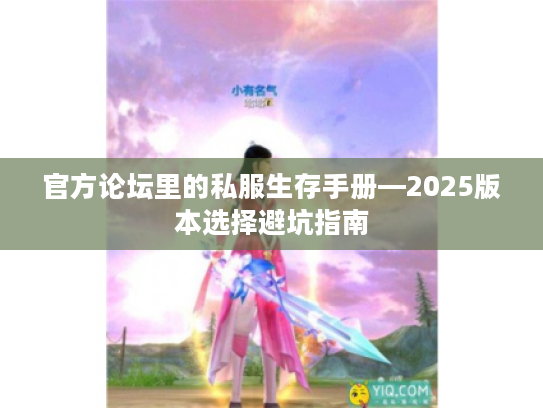 官方论坛里的私服生存手册—2025版本选择避坑指南
