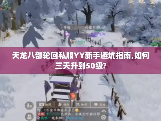 天龙八部轮回私服YY新手避坑指南,如何三天升到50级? 天龙八部轮回私服YY新手避坑指南,如何三天升到50级?