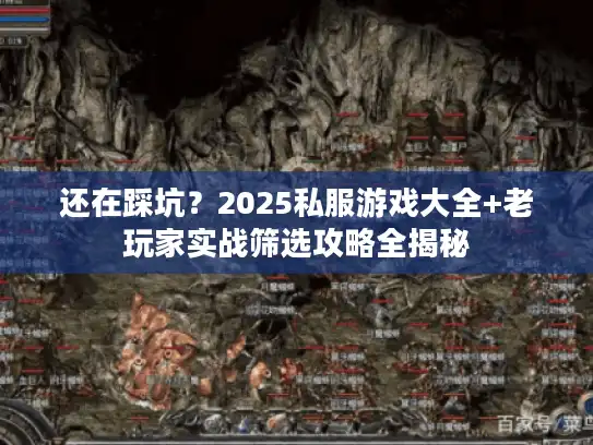 还在踩坑？2025私服游戏大全+老玩家实战筛选攻略全揭秘