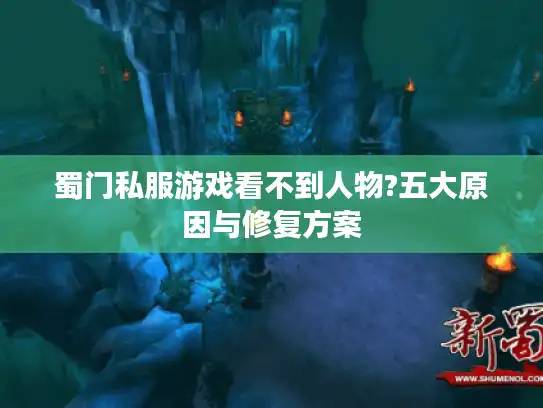 蜀门私服游戏看不到人物?五大原因与修复方案