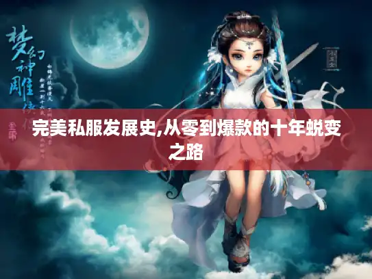 完美私服发展史,从零到爆款的十年蜕变之路