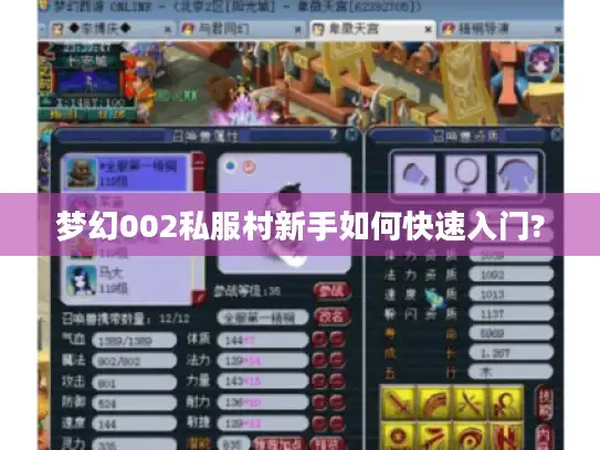 梦幻002私服村新手如何快速入门?