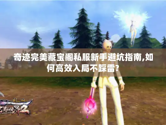 奇迹完美藏宝阁私服新手避坑指南,如何高效入局不踩雷? 奇迹完美藏宝阁私服新手避坑指南,如何高效入局不踩雷?