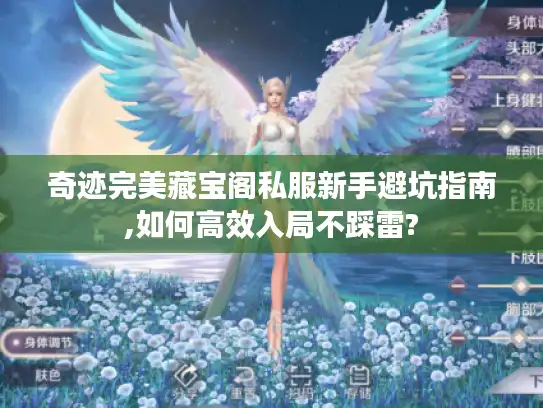 奇迹完美藏宝阁私服新手避坑指南,如何高效入局不踩雷? 奇迹完美藏宝阁私服新手避坑指南,如何高效入局不踩雷?