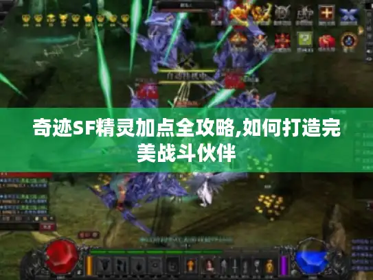 奇迹SF精灵加点全攻略,如何打造完美战斗伙伴