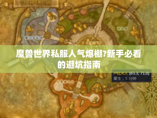魔兽世界私服人气爆棚?新手必看的避坑指南