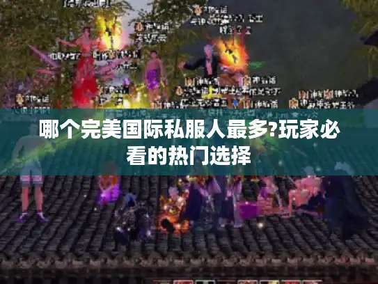 哪个完美国际私服人最多?玩家必看的热门选择