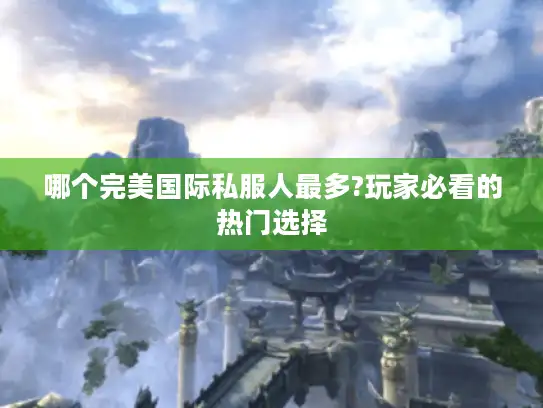 哪个完美国际私服人最多?玩家必看的热门选择