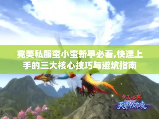 完美私服蛮小蛮新手必看,快速上手的三大核心技巧与避坑指南
