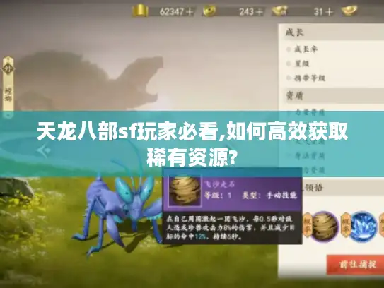 天龙八部sf玩家必看,如何高效获取稀有资源?
