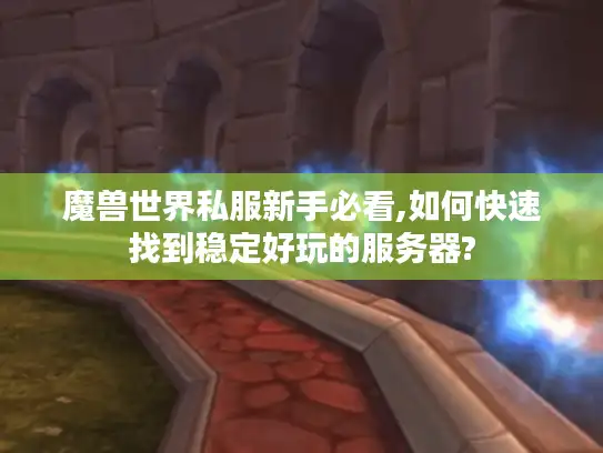 魔兽世界私服新手必看,如何快速找到稳定好玩的服务器?