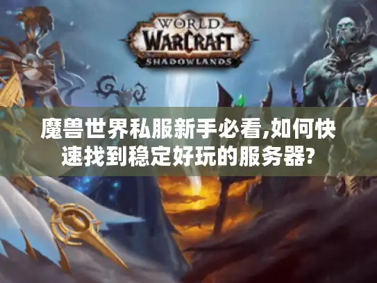 魔兽世界私服新手必看,如何快速找到稳定好玩的服务器?