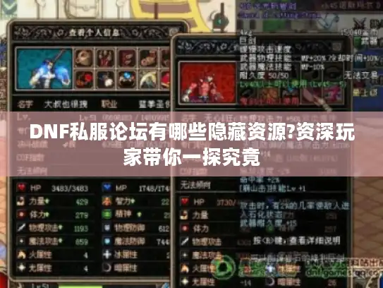 DNF私服论坛有哪些隐藏资源?资深玩家带你一探究竟