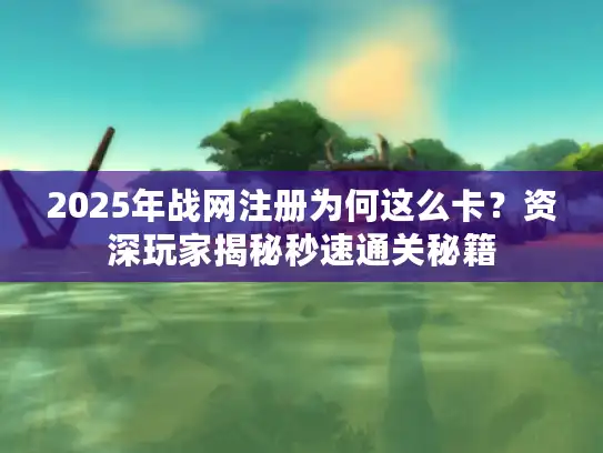 2025年战网注册为何这么卡？资深玩家揭秘秒速通关秘籍