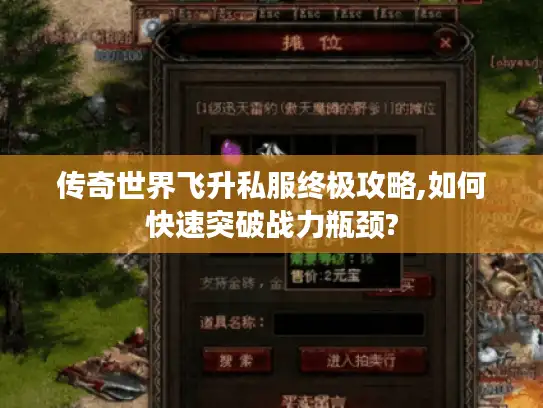 传奇世界飞升私服终极攻略,如何快速突破战力瓶颈?
