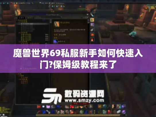 魔兽世界69私服新手如何快速入门?保姆级教程来了