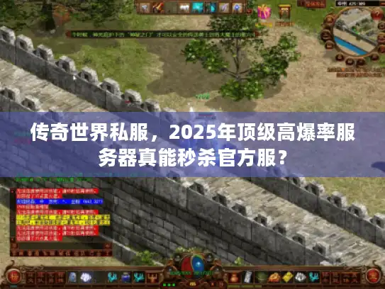 传奇世界私服，2025年顶级高爆率服务器真能秒杀官方服？