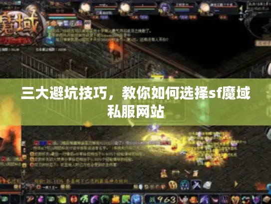 三大避坑技巧,教你如何选择sf魔域私服网站 三大避坑技巧,教你如何选择sf魔域私服网站