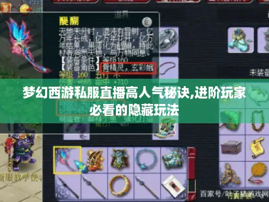 梦幻西游私服直播高人气秘诀,进阶玩家必看的隐藏玩法 梦幻西游私服直播高人气秘诀,进阶玩家必看的隐藏玩法