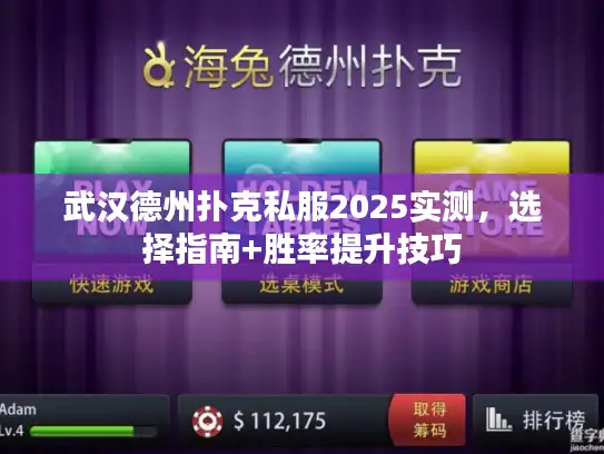武汉德州扑克私服2025实测，选择指南+胜率提升技巧