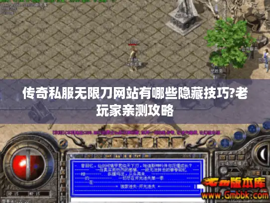 传奇私服无限刀网站有哪些隐藏技巧?老玩家亲测攻略
