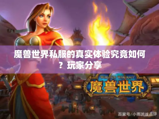 魔兽世界私服的真实体验究竟如何?玩家分享 魔兽世界私服的真实体验究竟如何?玩家分享