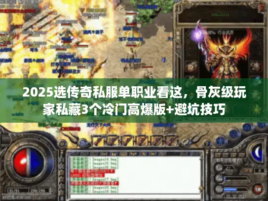 2025选传奇私服单职业看这，骨灰级玩家私藏3个冷门高爆版+避坑技巧