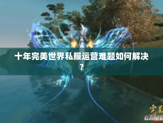 十年完美世界私服运营难题如何解决? 十年完美世界私服运营难题如何解决?