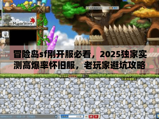 冒险岛sf刚开服必看,2025独家实测高爆率怀旧服,老玩家避坑攻略 冒险岛sf刚开服必看,2025独家实测高爆率怀旧服,老玩家避坑攻略