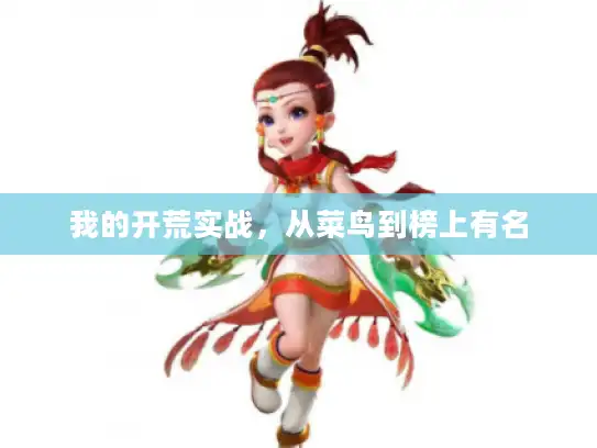 我的开荒实战,从菜鸟到榜上有名 我的开荒实战,从菜鸟到榜上有名