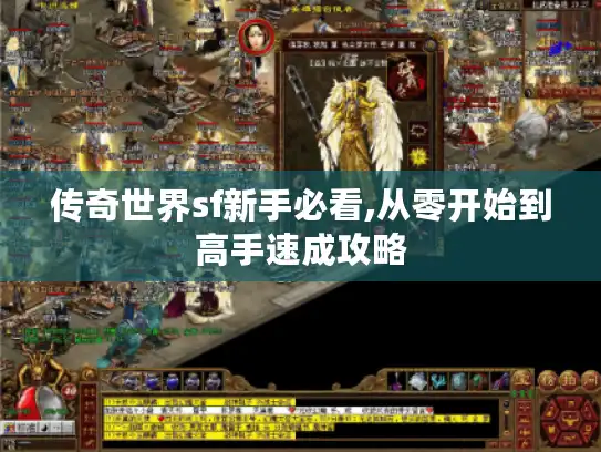 传奇世界sf新手必看,从零开始到高手速成攻略
