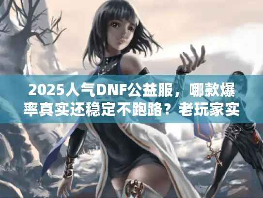 2025人气DNF公益服，哪款爆率真实还稳定不跑路？老玩家实测