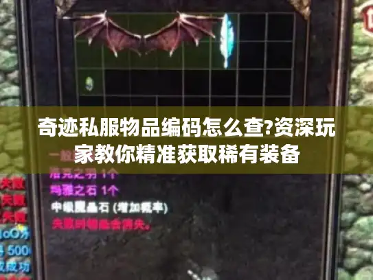 奇迹私服物品编码怎么查?资深玩家教你精准获取稀有装备