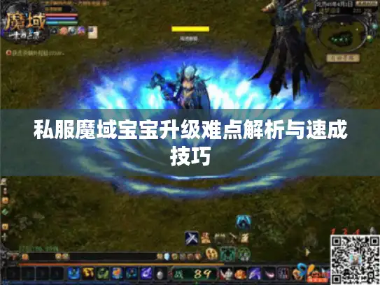 私服魔域宝宝升级难点解析与速成技巧