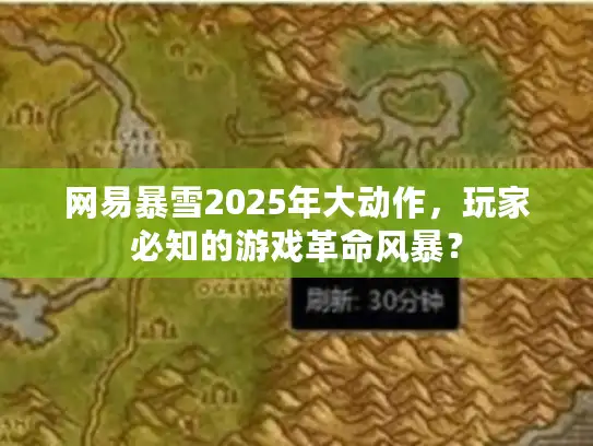 网易暴雪2025年大动作，玩家必知的游戏革命风暴？