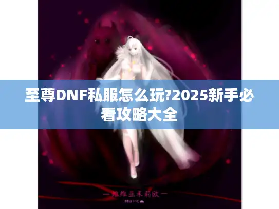 至尊DNF私服怎么玩?2025新手必看攻略大全