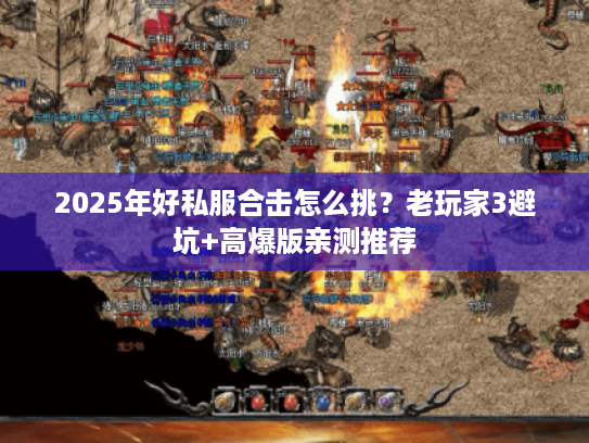 2025年好私服合击怎么挑?老玩家3避坑+高爆版亲测推荐 2025年好私服合击怎么挑?老玩家3避坑+高爆版亲测推荐