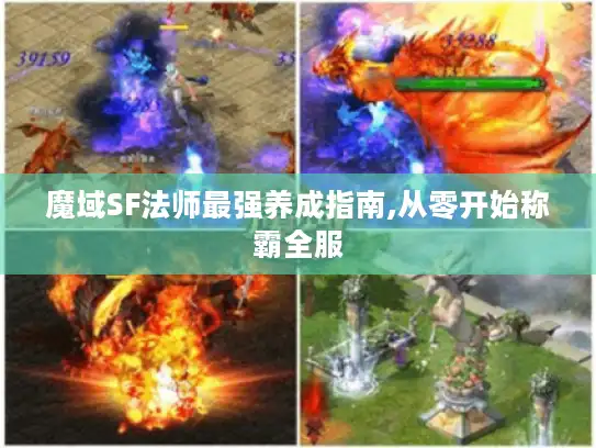 魔域SF法师最强养成指南,从零开始称霸全服