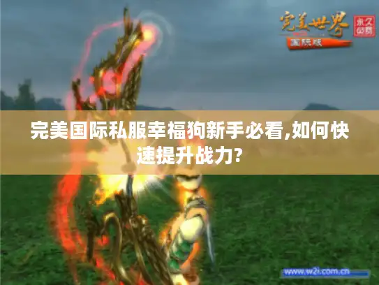 完美国际私服幸福狗新手必看,如何快速提升战力?