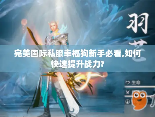 完美国际私服幸福狗新手必看,如何快速提升战力?