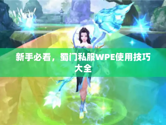 新手必看,蜀门私服WPE使用技巧大全 新手必看,蜀门私服WPE使用技巧大全
