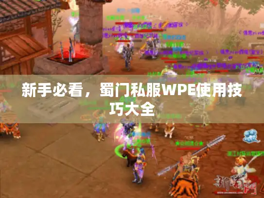 新手必看,蜀门私服WPE使用技巧大全 新手必看,蜀门私服WPE使用技巧大全