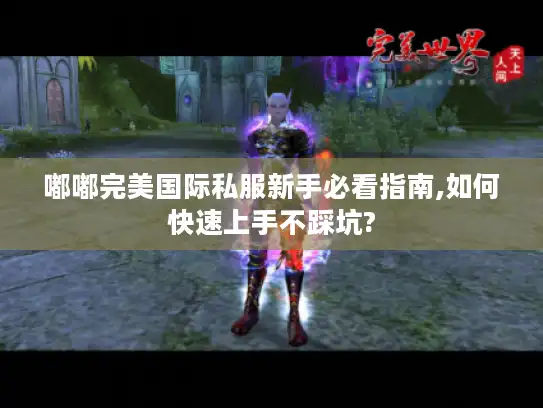 嘟嘟完美国际私服新手必看指南,如何快速上手不踩坑? 嘟嘟完美国际私服新手必看指南,如何快速上手不踩坑?