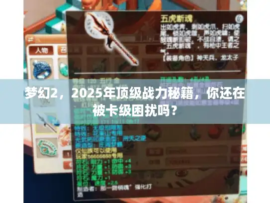 梦幻2，2025年顶级战力秘籍，你还在被卡级困扰吗？