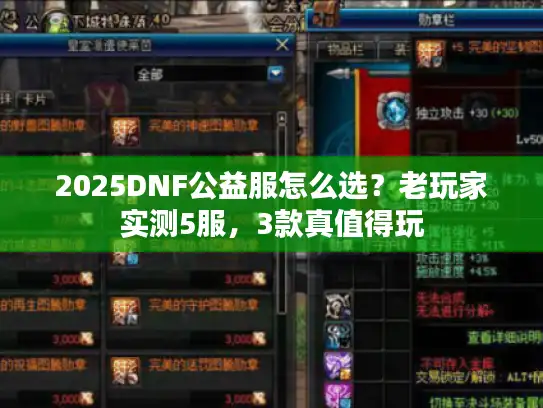 2025DNF公益服怎么选？老玩家实测5服，3款真值得玩